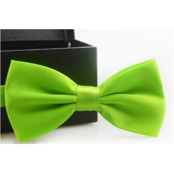 Corbata Michi - Color Verde - Sujetador Plástico - Doble Pliegue